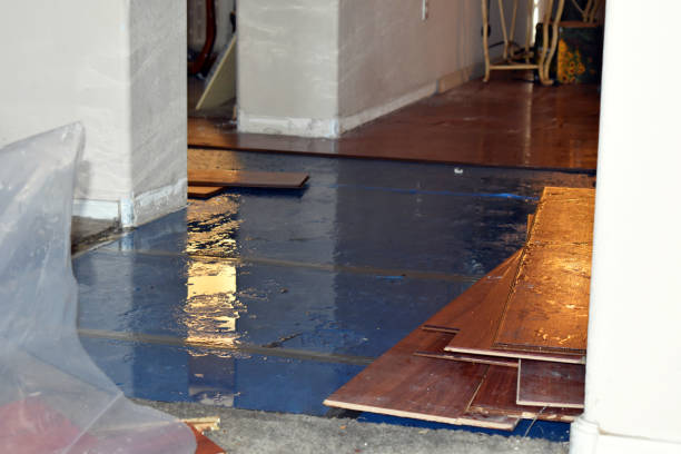 Professional Basement Flood Cleanup technician working in Oyster Bay, NY